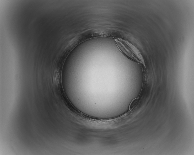 X0000116510036200912161347