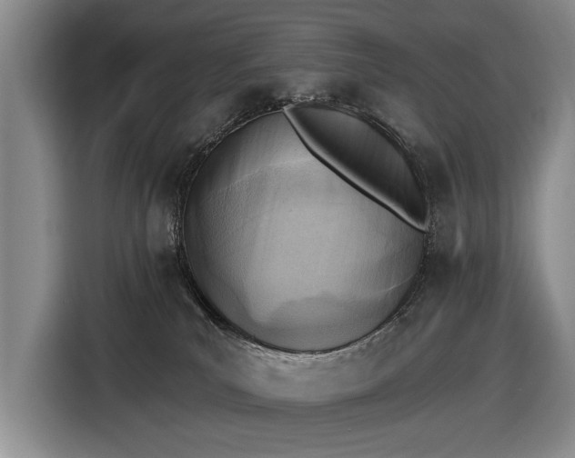 X0000116510039200912161347