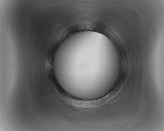 X0000116510040200912161347