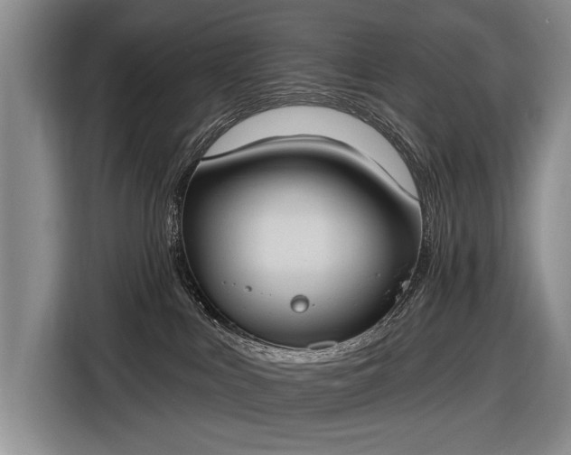 X0000116510043200912161347