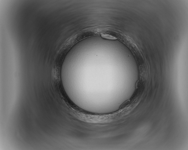 X0000116510044200912161347