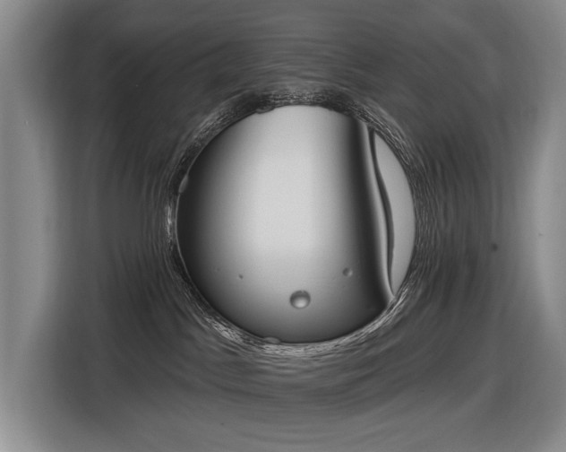 X0000116510045200912161347