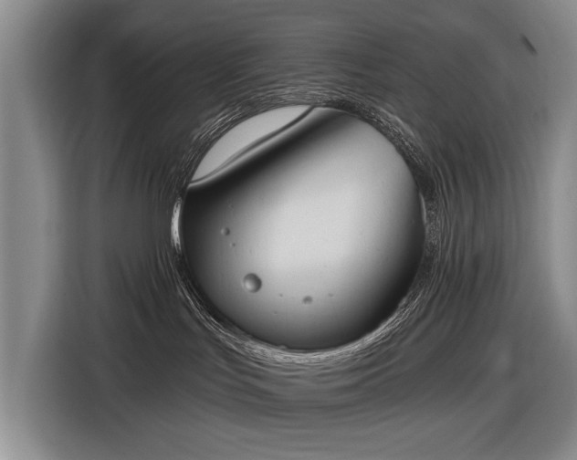 X0000116510047200912161347