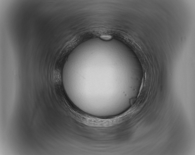 X0000116510048200912161347