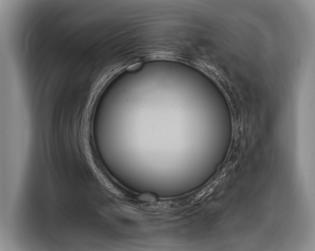 X0000116510049200912161347