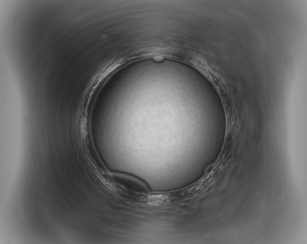 X0000116510050200912161347