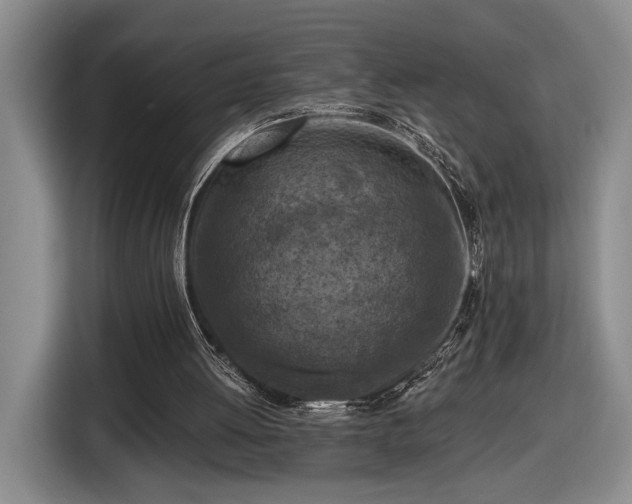 X0000116510052200912161347