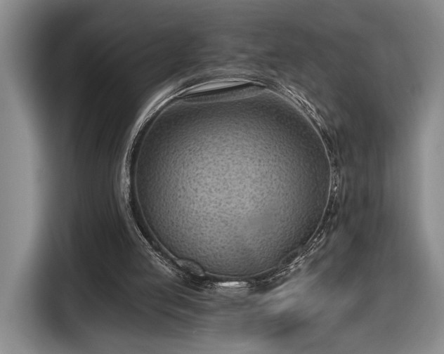 X0000116510053200912161347