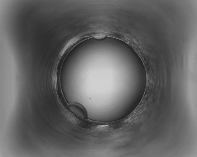 X0000116510054200912161347