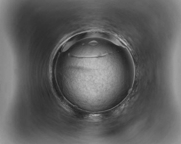 X0000116510055200912161347