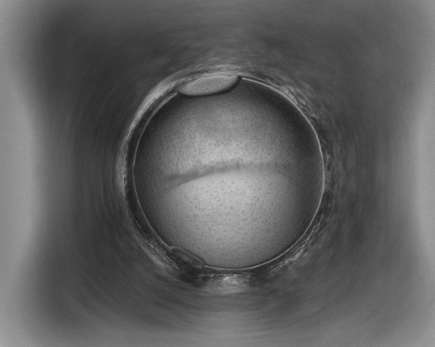 X0000116510056200912161347