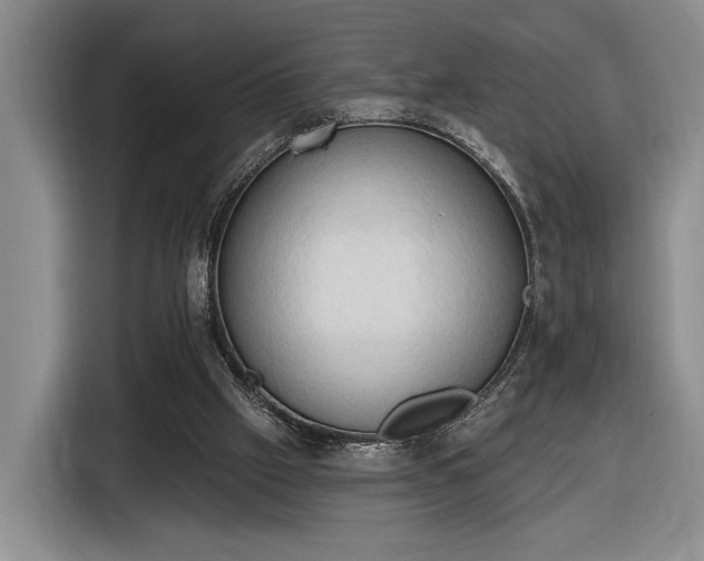 X0000116510057200912161347