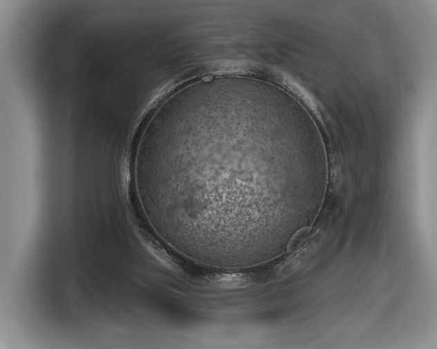 X0000116510059200912161347