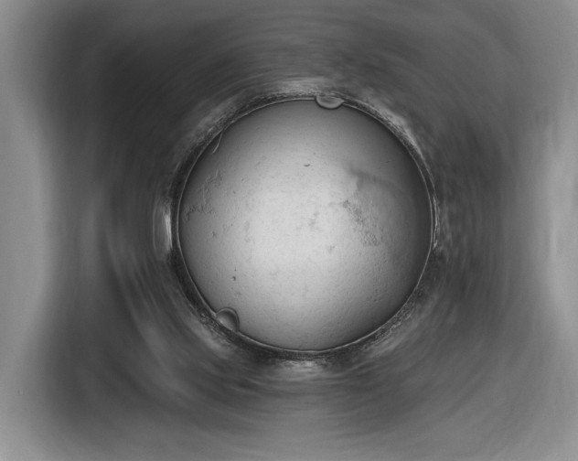 X0000116510061200912161347