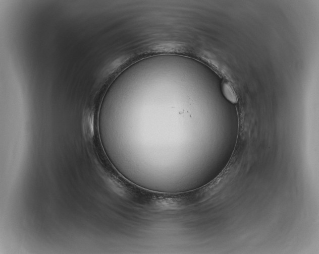 X0000116510062200912161347