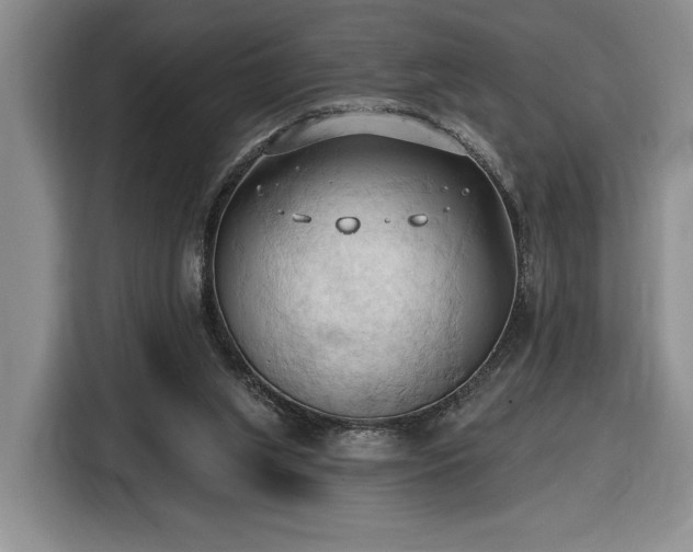 X0000116510063200912161347