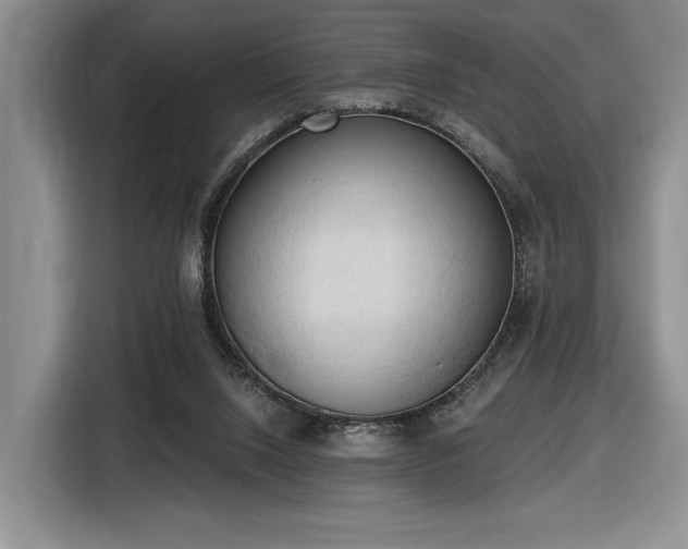 X0000116510064200912161347