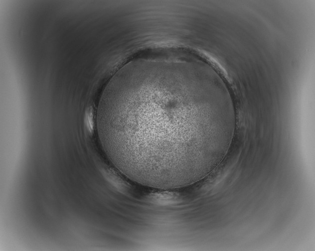 X0000116510069200912161347