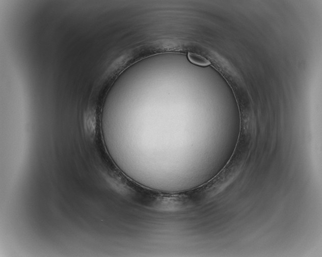 X0000116510072200912161347