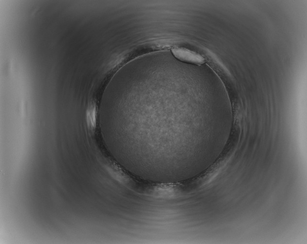 X0000116510076200912161347