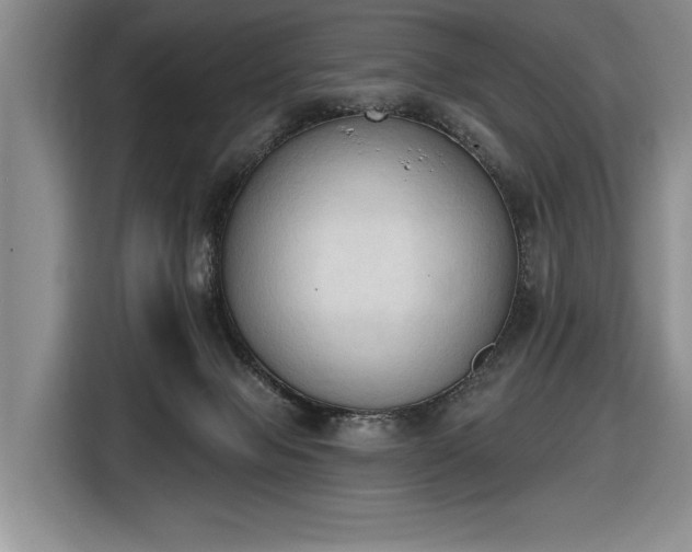 X0000116510077200912161347