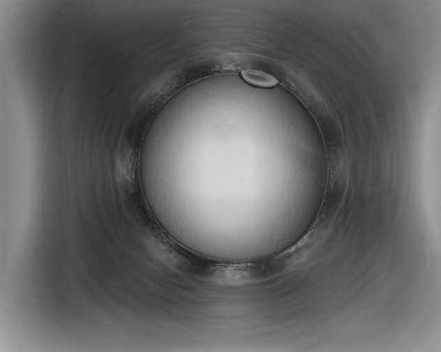 X0000116510078200912161347