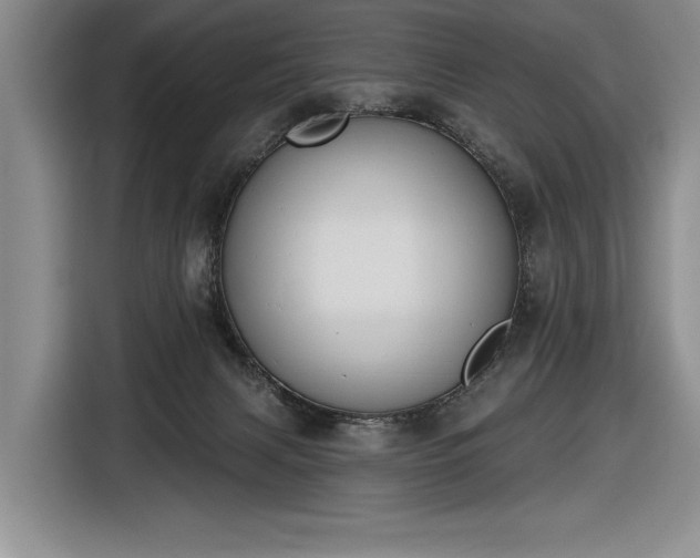 X0000116510079200912161347