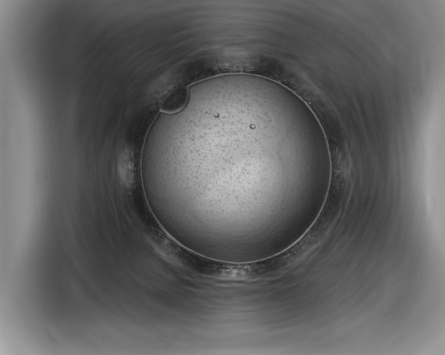 X0000116510080200912161347