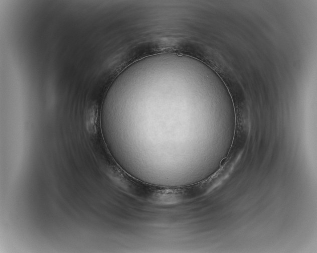 X0000116510082200912161347