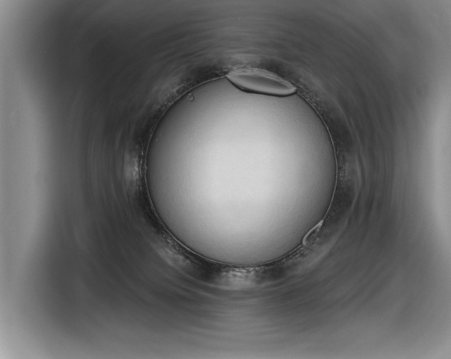 X0000116510084200912161347