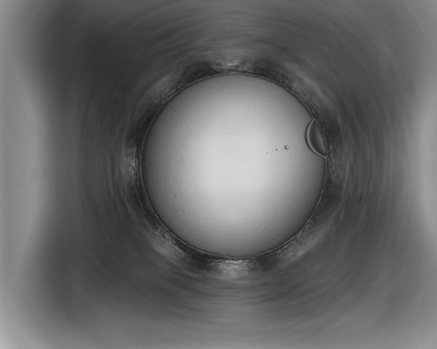 X0000116510085200912161347