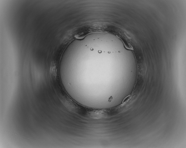 X0000116510086200912161347