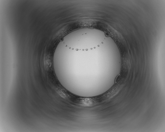 X0000116510091200912161347