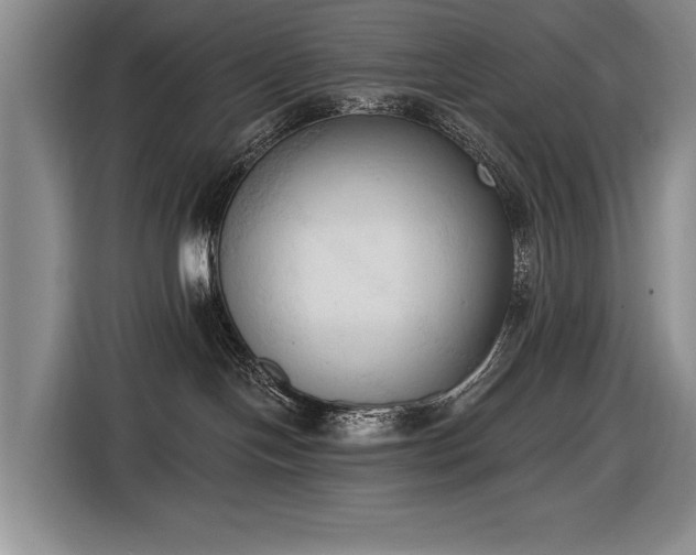 X0000116510094200912161347