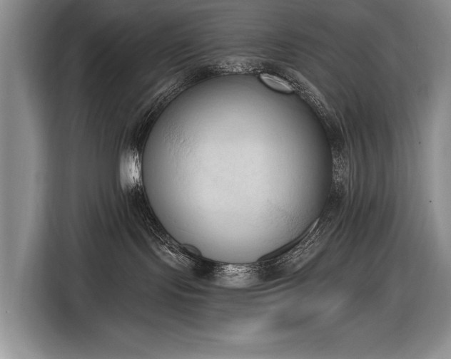 X0000116510095200912161347