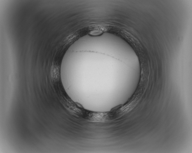 X0000116510096200912161347