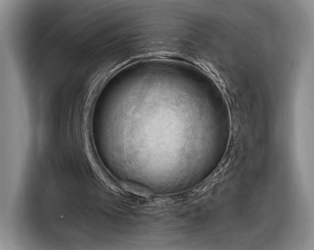 X0000116510097200912161347