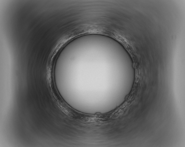 X0000116510098200912161347