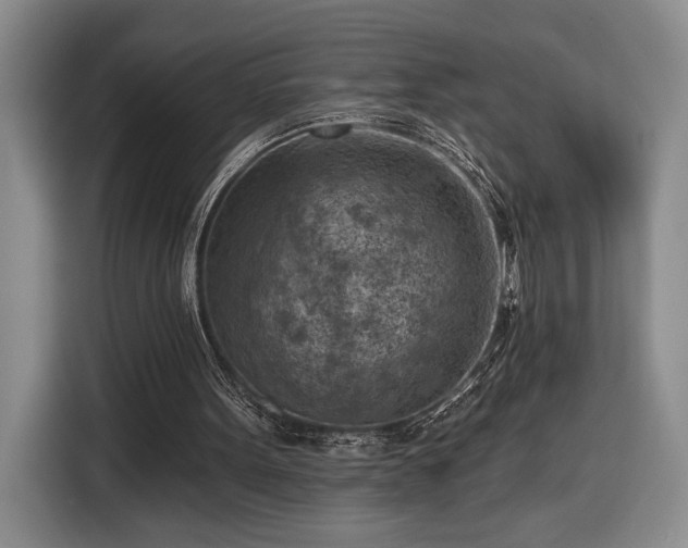 X0000116510099200912161347