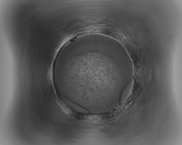 X0000116510100200912161347