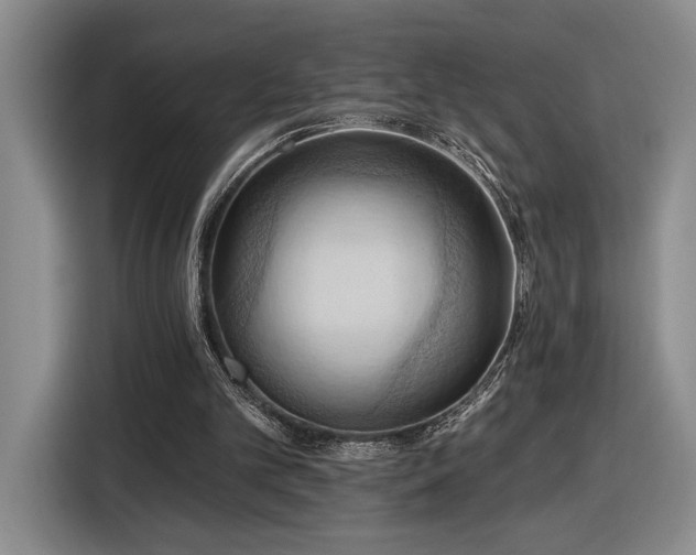 X0000116510101200912161347