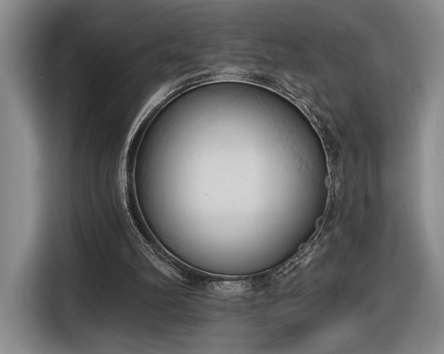 X0000116510102200912161346