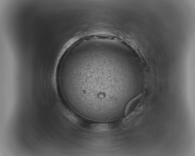 X0000116510104200912161346