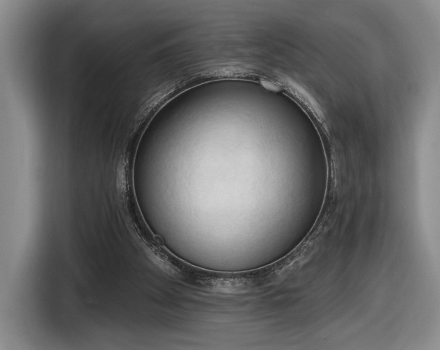 X0000116510105200912161346