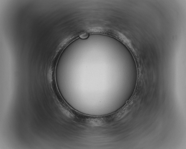 X0000116510106200912161346