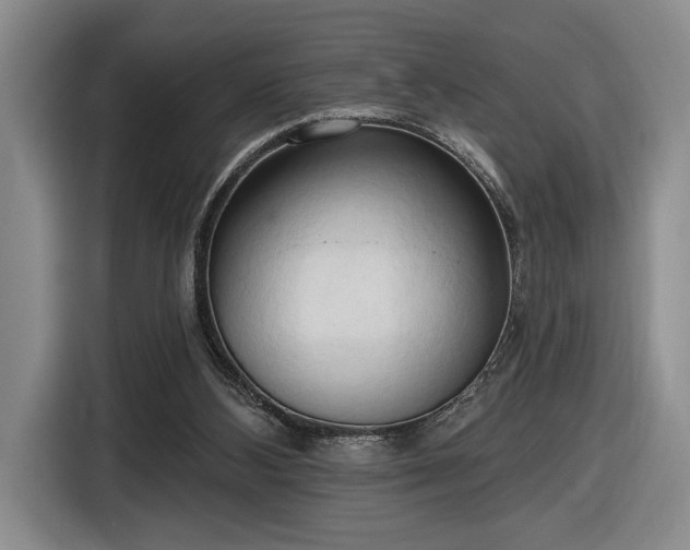 X0000116510108200912161346