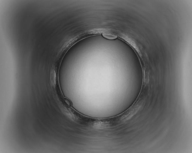 X0000116510109200912161346