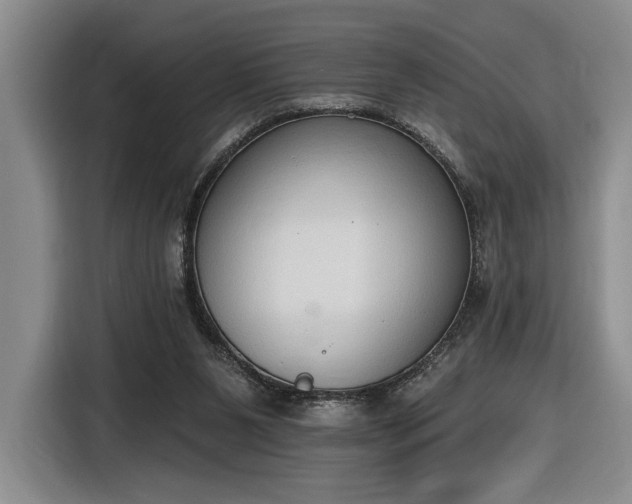 X0000116510111200912161346