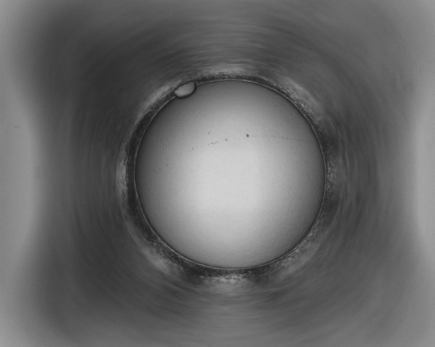 X0000116510112200912161346