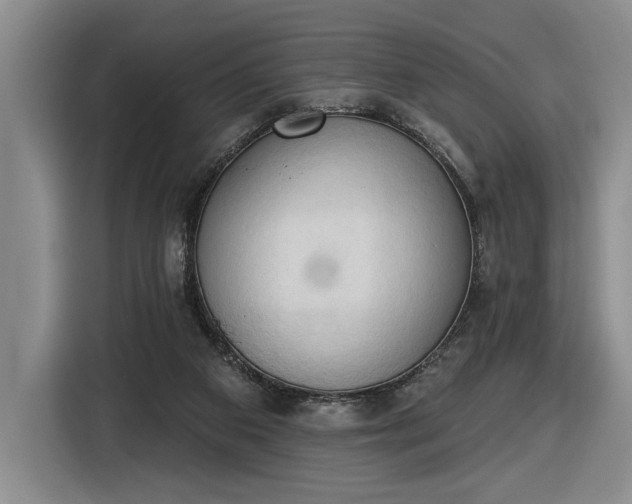 X0000116510113200912161346